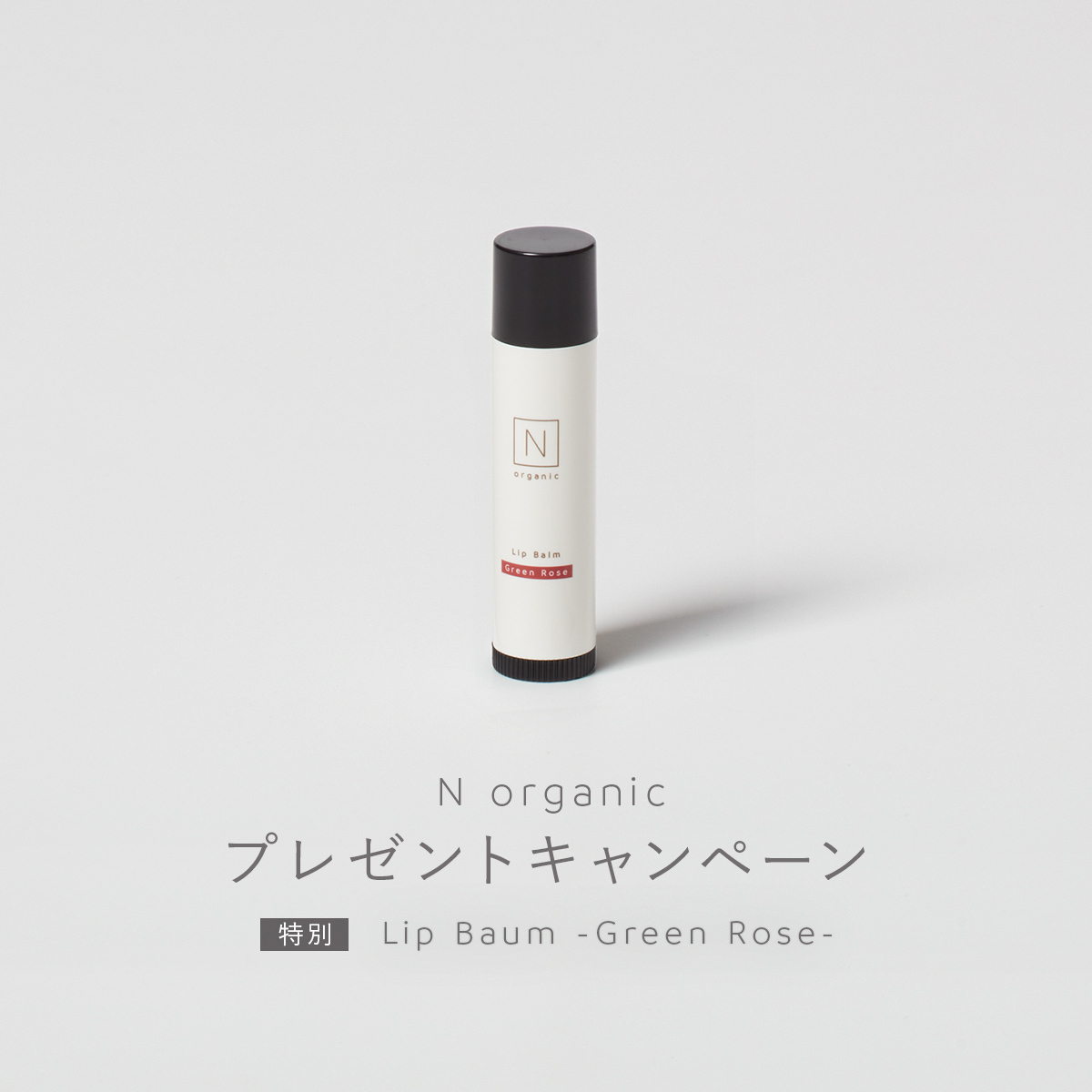 シロクオンラインショップ 販売情報・お知らせ