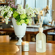 新・Basicシリーズ 直営店特別セット発売開始